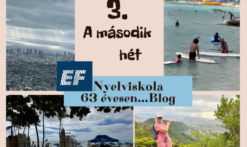 honolulu-avagy-nyelviskola-63-evesen-3-a-masodik-het